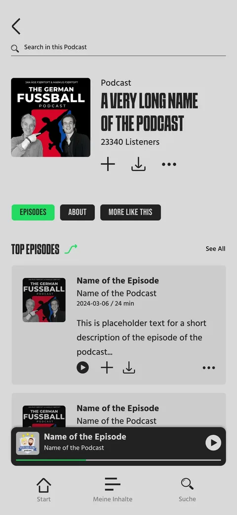 Podcast-Detailseite mit Cover, Hoererzahl und den Reitern Episodes, About und More like this.